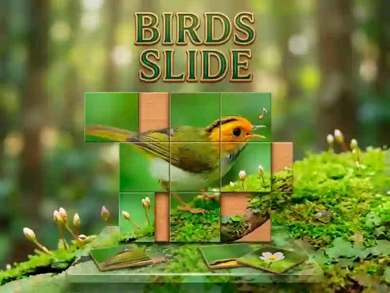 Igra Birds Slide online