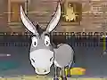Igra Donkey Gafoor online