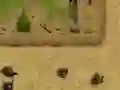 Igra Ambush online