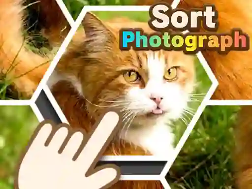 Igra Sort Photograph online