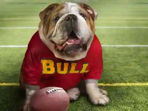Igra Funny Doggy online