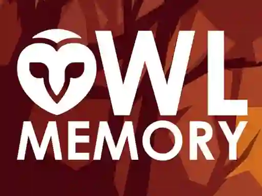 Igra Owl Memory online