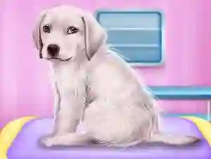 Igra Labrador at the doctor salon online