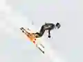 Igra Ski Sim online