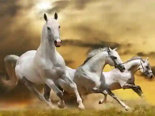Igra Running Horse Slide online