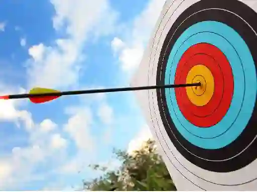 Igra Archery: Bow & Arrow online