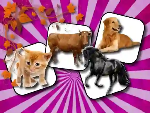Igra Domestic Animal Memory Challenge online