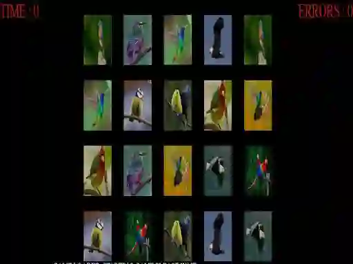 Igra Memorize the birds online