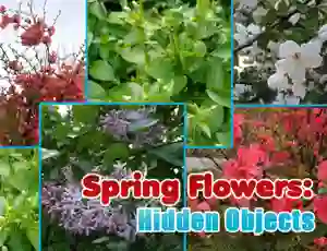 Igra Spring Flowers: Hidden Objects online