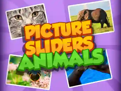 Igra Picture Slider Animals online