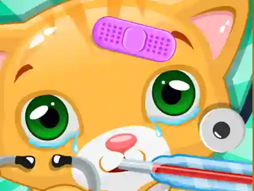 Igra Little Cat Doctor online