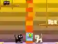 Igra Swing Cat online