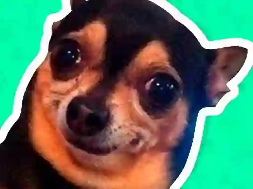 Igra What meme dog are you ? online