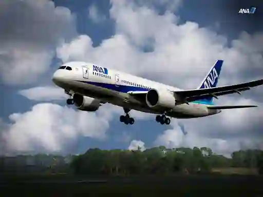 Igra Boeing Dreamliner Puzzle online