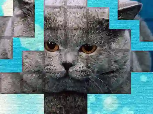 Igra PicPu Cat online