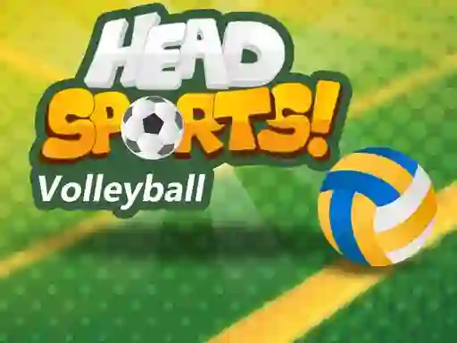 Igra Head Sports Volleyball online