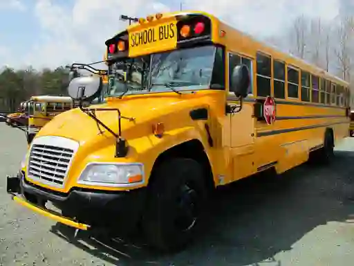 Igra School Buses Puzzle online