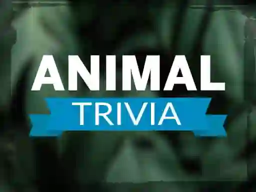 Igra Animal Trivia online