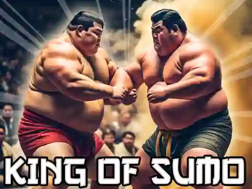 Igra King Of Sumo the ultimate brawl online