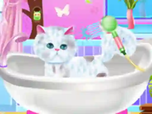 Igra Excellent Pet Groomer online