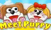Igra Meet Puppy online