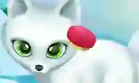 Igra Paws to Beauty Arctic Edition online