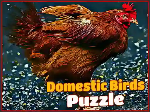 Igra Domestic Birds Puzzle online