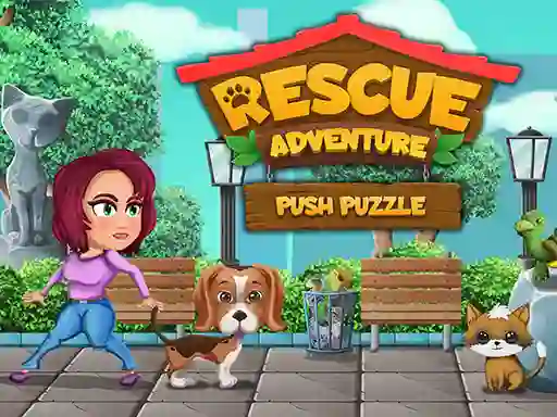 Igra Rescue Adventure Push Puzzle online