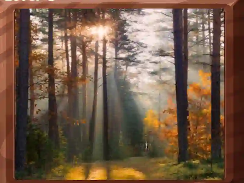 Igra Image Block Puzzle online