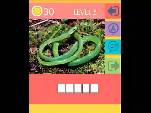 Igra 15 Picture Quiz online