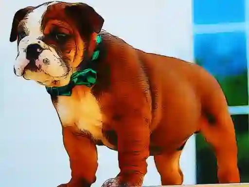 Igra Bulldog Puppy Puzzle online