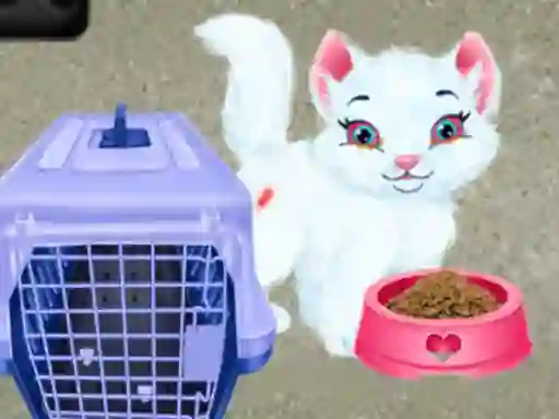 Igra Baby Taylor Pet Care online