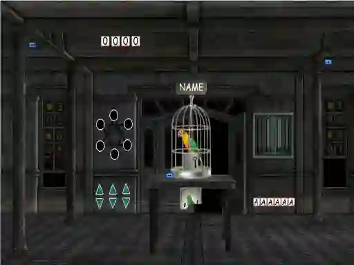 Igra Parrots Escape online
