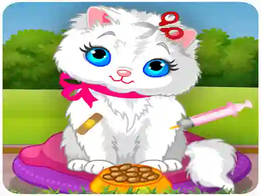 Igra Vet Cat Clinic online