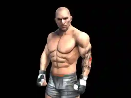 Igra Fight Arena Online online