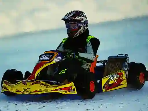 Igra Kart Racing Jigsaw online