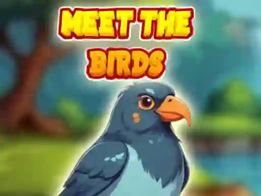 Igra Meet The Birds online