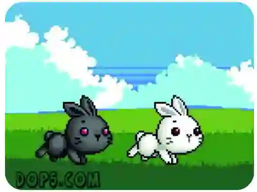 Igra Cute Rabbit online