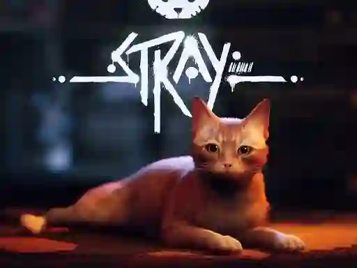Igra Stray online