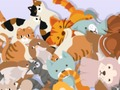Igra Pronađite Kitty  online