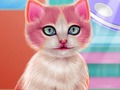 Igra Kitty Dental Care  online