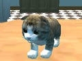 Igra Mačka simulator: Kitty Craft! online