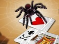 Igra Skakajući pauk online