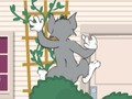 Igra Tom i Jerry: Wasserbomben Wahnsinn  online