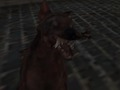 Igra Nacistička zmajska vojska  online