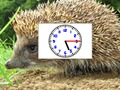Igra Puzzle Pics Satovi  online