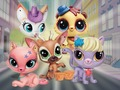 Igra Little Pet Shop: skrivača  online