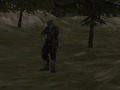 Igra FPS agencija: šuma  online