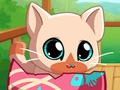 Igra Moj Pocket kućni ljubimci Kitty Cat  online