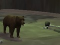 Igra Medvjed  online